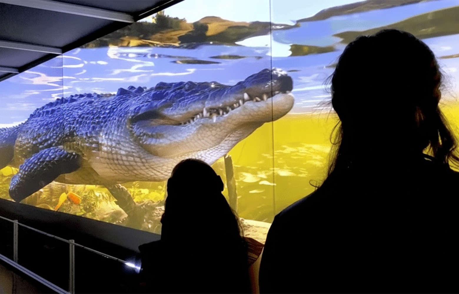 Guests viewing a giant crocodile in Zoocade’s immersive underwater hologram experience