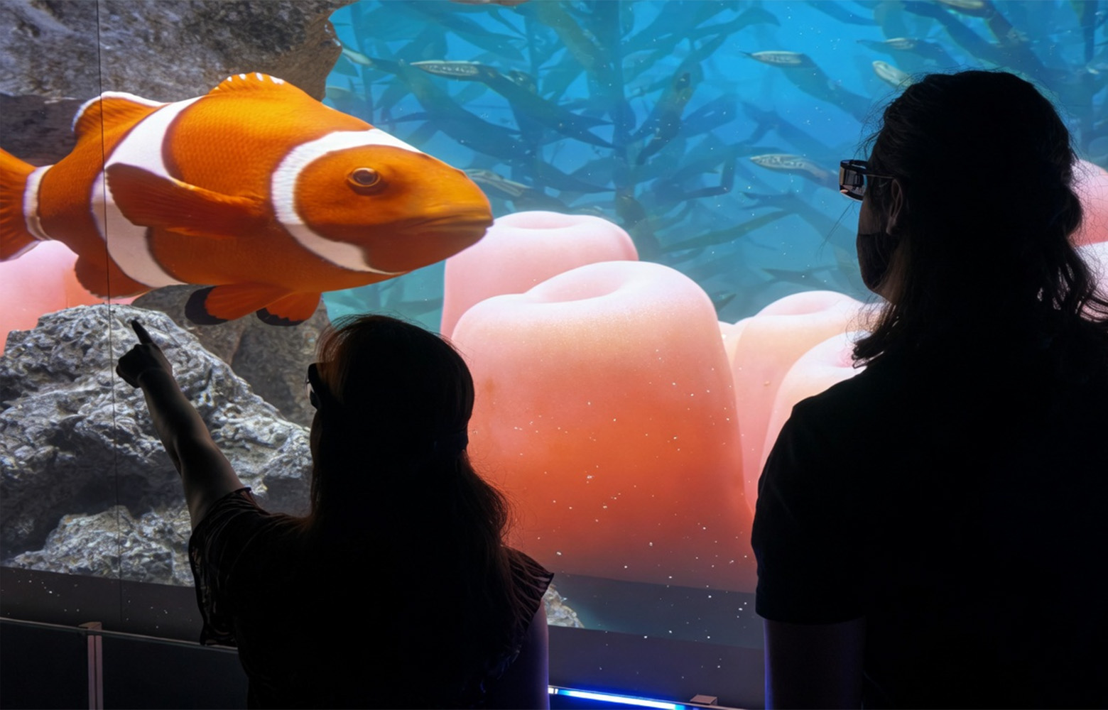 Guests viewing giant clownfish in an immersive underwater hologram environment