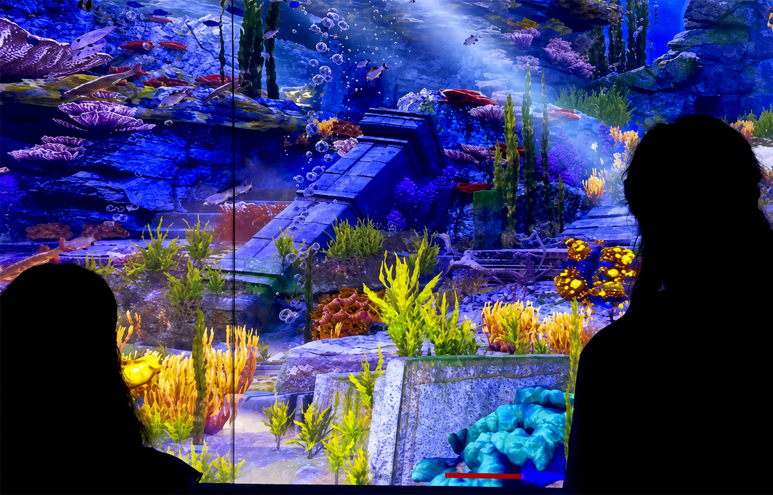 Immersive coral reef underwater environment inside Zoocade’s hologram experience