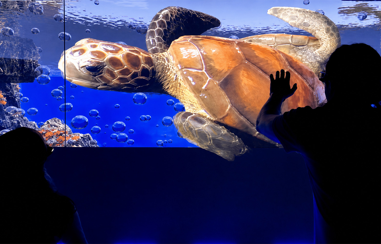 Guests interacting with a giant sea turtle in an underwater hologram experience